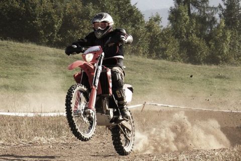 Wiesencross 2008