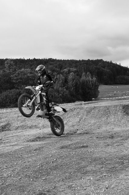 Wiesencross 2008