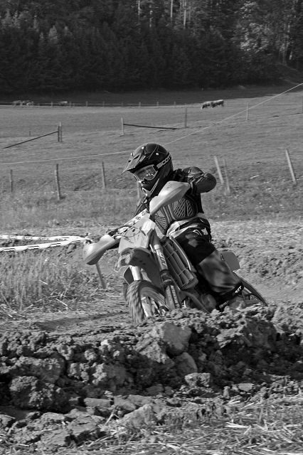 Wiesencross 2008