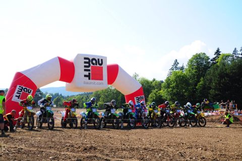 Wiesencross 2015
