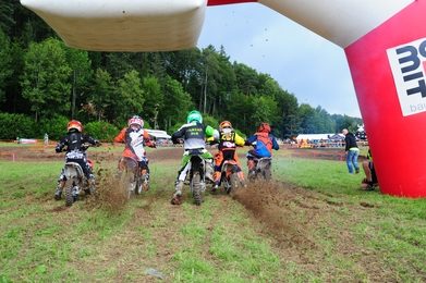 Wiesencross 2018